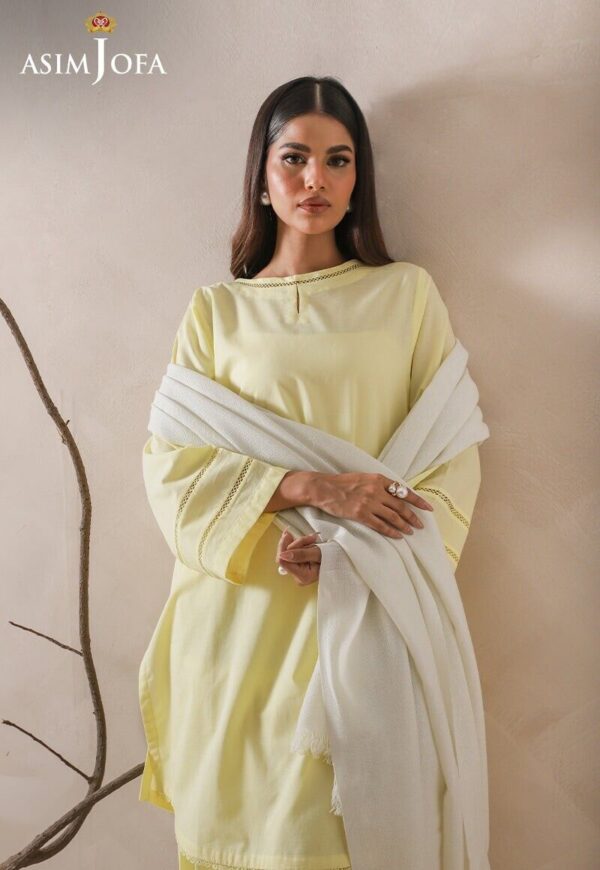 Asim Jofa Moonlight Shawl Collection | Original Pakistani Winter Shawl - Image 3