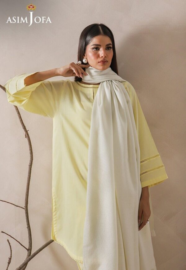 Asim Jofa Moonlight Shawl Collection | Original Pakistani Winter Shawl - Image 4