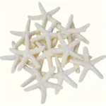 20pcs Resin Starfish Decorations – Craft & Party Décor | Bulk