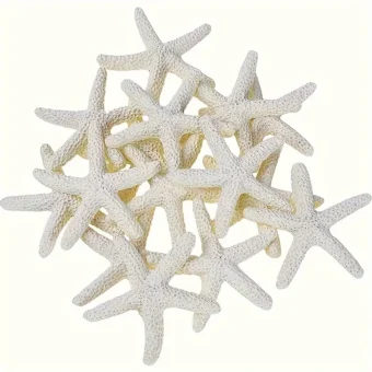 20pcs Resin Starfish Decorations – Craft & Party Décor | Bulk